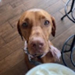 Meet your Posher, Catherine